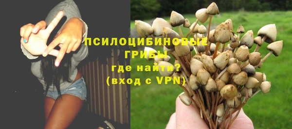 ALPHA PVP Арсеньев