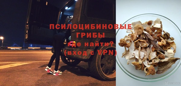 мяу мяу мука Аркадак