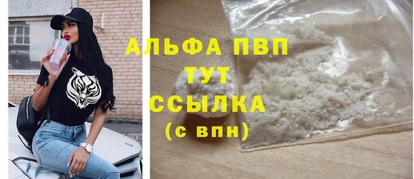 мяу мяу мука Аркадак