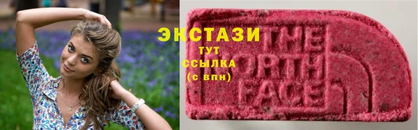 мяу мяу мука Аркадак
