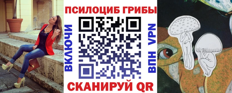 купить   Новодвинск  ссылка на мегу ТОР  Галлюциногенные грибы Cubensis 