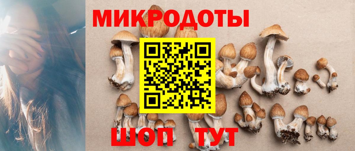 Псилоцибиновые грибы Magic Shrooms  Псилоцибиновые грибы GOLDEN TEACHER  Вход с VPN  Новодвинск 
