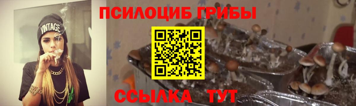 НБОМе  Вход с VPN  Гашиш  Новодвинск  Магазины продажи наркотиков  Меф   Кокаин  Конопля 