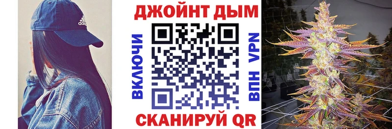как найти   Новодвинск  Канабис планчик 